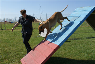 Michls Hundetreff