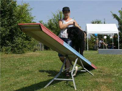Michls Hundetreff