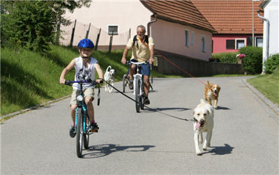 Michls Hundetreff