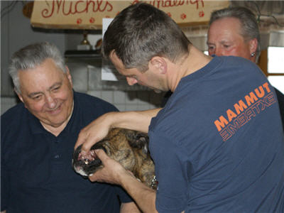 Michls Hundetreff