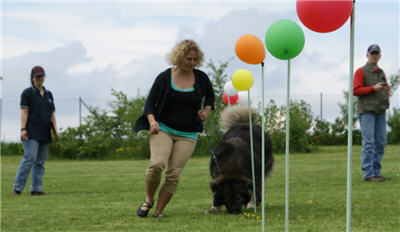 Michls Hundetreff