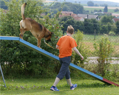 Michls Hundetreff