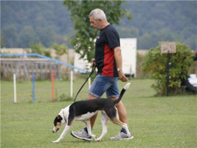 Michls Hundetreff