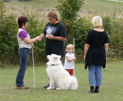 Michls Hundetreff