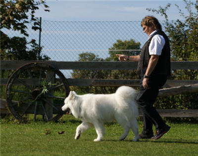 Michls Hundetreff