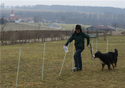 Michls Hundetreff