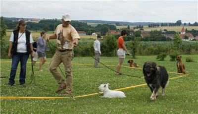 Michls Hundetreff Zrikeltraining