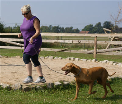Michls Hundetreff